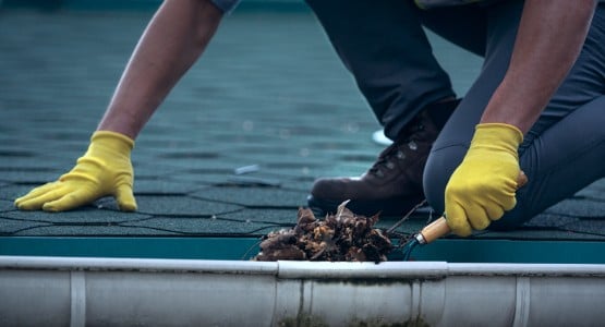 piture of someone pulling debris out of a gutter